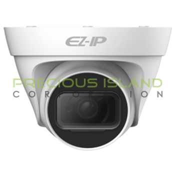 2MP IR Turret Network Camera